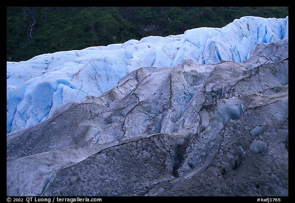 Exit Glacier and forest. Kenai Fjords  National Park