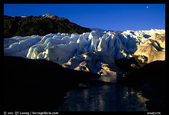 Frozen glacial pond and front of Exit Glacier, early morning. Kenai Fjords  National Park