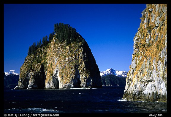Islands in Aialik Bay. Kenai Fjords National Park, Alaska, USA.
