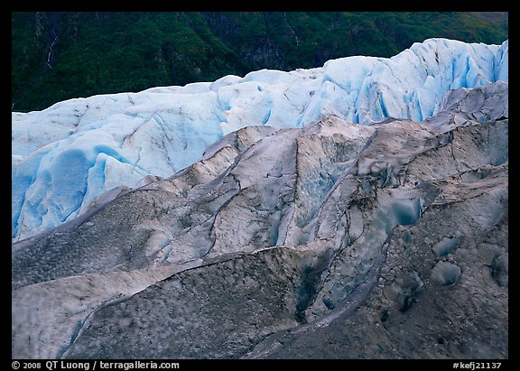 Grey ice, blue ice, Exit Glacier and forest. Kenai Fjords National Park, Alaska, USA.