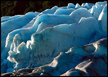 Exit Glacier. Kenai Fjords  National Park ( color)
