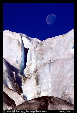 Seracs of Exit Glacier and moon. Kenai Fjords National Park (color)