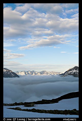 Sea of clouds and craggy peaks. Kenai Fjords National Park (color)
