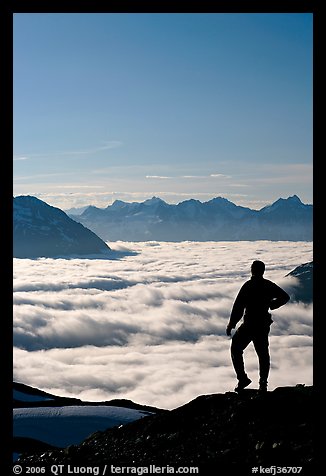 Man above a sea of clouds. Kenai Fjords National Park (color)
