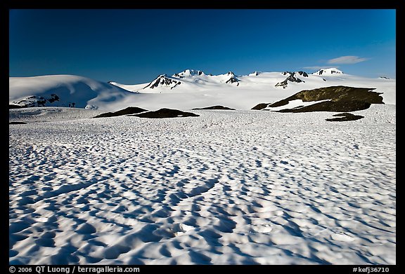 Snow cups and Harding icefield. Kenai Fjords National Park (color)