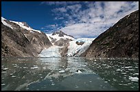 Northwestern Glacier and icebergs, Northwestern Lagoon. Kenai Fjords National Park, Alaska, USA. (color)
