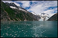Northwestern Lagoon. Kenai Fjords National Park, Alaska, USA. (color)