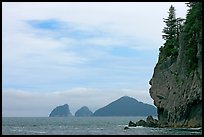 Chiswell Islands. Kenai Fjords National Park ( color)
