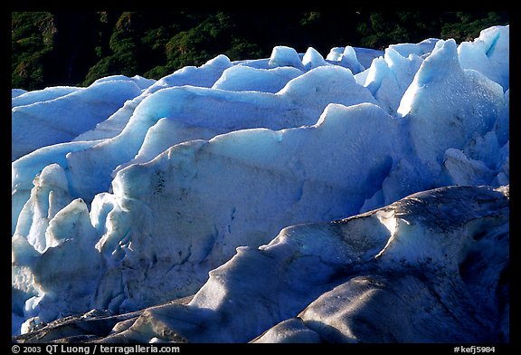 Exit Glacier. Kenai Fjords  National Park