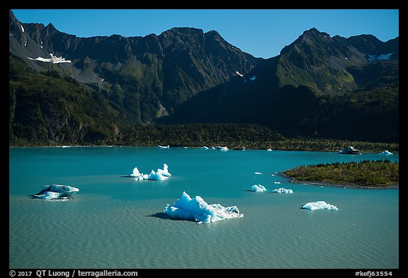 Aerial View of icebergs in Bear Glacier Lagoon. Kenai Fjords National Park, Alaska, USA.