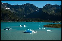 Aerial View of icebergs in Bear Glacier Lagoon. Kenai Fjords National Park ( color)