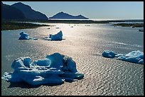 Aerial View of backlit icebergs in Bear Glacier Lagoon. Kenai Fjords National Park ( color)