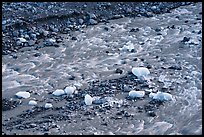 Glacial stream and icebergs. Kenai Fjords National Park ( color)