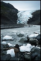 Icebergs, glacial stream, and Exit Glacier, 2016. Kenai Fjords National Park ( color)