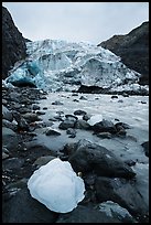 Iceberg, stream, Exit Glacier front, 2016. Kenai Fjords National Park ( color)