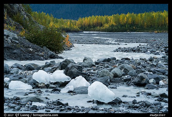 Icebergs and outwash plain in autumn. Kenai Fjords National Park (color)