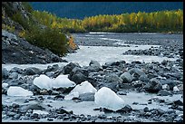 Icebergs and outwash plain in autumn. Kenai Fjords National Park ( color)