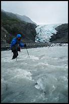 Hiker wades in  glacial stream, Exit Glacier. Kenai Fjords National Park ( color)
