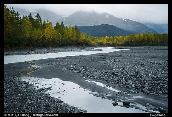 Stream and trees in autumn foliage, and mountains in the rain near Exit Glacier. Kenai Fjords National Park, Alaska, USA.