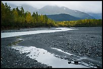 Stream and trees in autumn foliage, and mountains in the rain near Exit Glacier. Kenai Fjords National Park ( color)