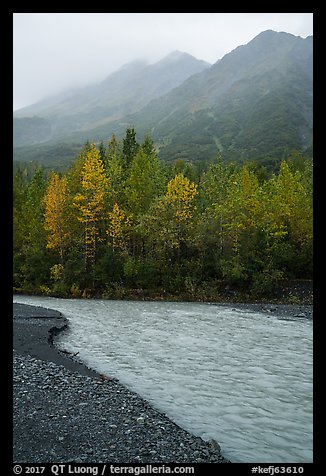 Stream, trees in autum foliage, and misty mountains. Kenai Fjords National Park, Alaska, USA.