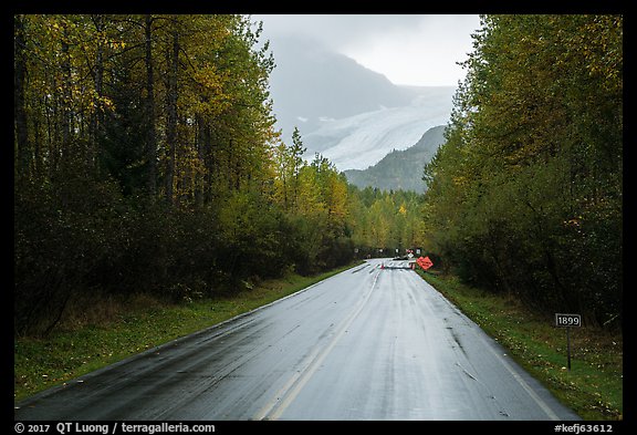 Exit Glacier Road. Kenai Fjords National Park (color)