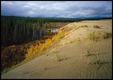 The edge of the Great Sand Dunes with the tundra and taiga below. Kobuk Valley National Park ( color)
