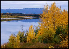 River, Warring Mountains, and fall colors at Onion Portage. Kobuk Valley National Park, Alaska, USA.