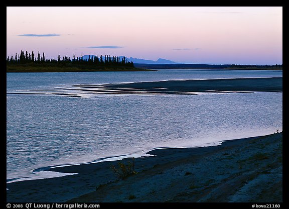 Sand bar shore, river, row of spruce trees,  and Baird mountains, evening. Kobuk Valley National Park, Alaska, USA.