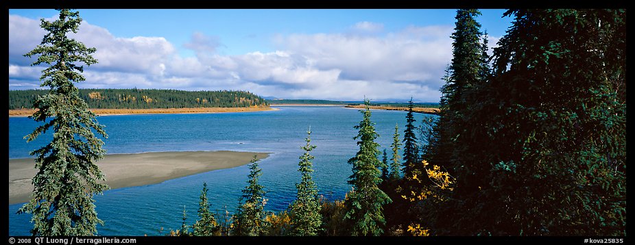River landscape with forested riverbank. Kobuk Valley National Park, Alaska, USA.