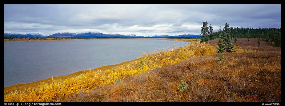 Tundra and river. Kobuk Valley National Park, Alaska, USA.
