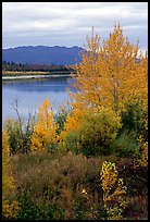Kobuk River, Warring Mountains, and autumn colors, Onion Portage. Kobuk Valley National Park, Alaska, USA. (color)
