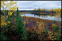 Pond near Kavet Creek. Kobuk Valley National Park, Alaska, USA. (color)