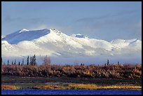 Baird mountains with a fresh dusting of snow, morning. Kobuk Valley National Park, Alaska, USA. (color)