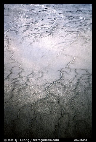 Aerial view of mud flat dendritic pattern on Cook inlet. Lake Clark National Park, Alaska, USA.