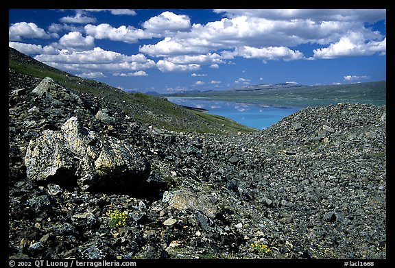 Boulder field and Turquoise Lake. Lake Clark National Park