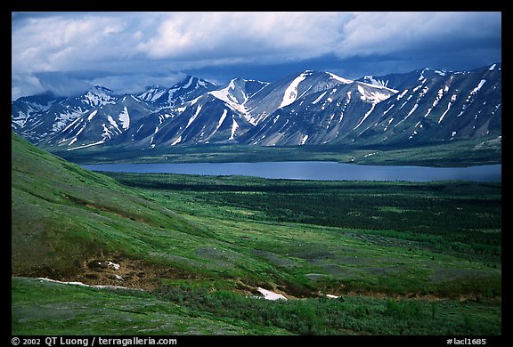 Verdant tundra, lake, and snowy mountains under clouds. Lake Clark National Park, Alaska, USA.