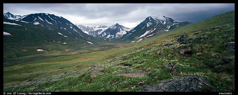 Summer mountain landscape with green tundra and wildflowers. Lake Clark National Park, Alaska, USA.