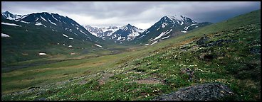 Summer mountain landscape with green tundra and wildflowers. Lake Clark National Park, Alaska, USA.