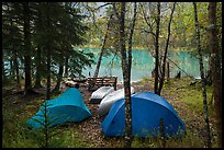 Camping next to Kontrashibuna Lake. Lake Clark National Park ( color)