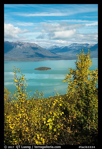 Lake Clark and islet framed by trees in autumn foliage. Lake Clark National Park, Alaska, USA.