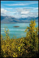 Lake Clark and islet framed by trees in autumn foliage. Lake Clark National Park, Alaska, USA.