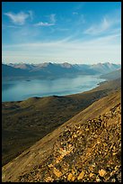 Lake Clark from Tanalian Mountain, looking north, afternoon. Lake Clark National Park ( color)