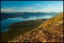 Tundra in autumn, Lake Clark from Tanalian Mountain. Lake Clark National Park, Alaska, USA.