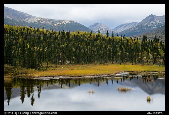 Beaver Pond and mountains. Lake Clark National Park, Alaska, USA.