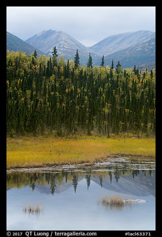 Beaver Pond in autumn. Lake Clark National Park, Alaska, USA.