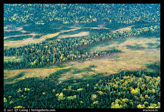 Aerial view of forest and tundra in autumn. Lake Clark National Park, Alaska, USA.
