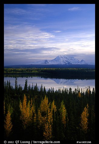 Mt Wrangell reflected in Willow lake, early morning. Wrangell-St Elias National Park, Alaska, USA.
