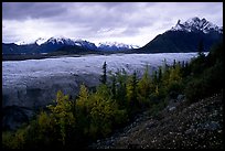 Fall colors, Mt Donoho above Root glacier. Wrangell-St Elias National Park, Alaska, USA. (color)