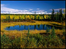 Pond and Wrangell range in the distance. Wrangell-St Elias National Park, Alaska, USA. (color)
